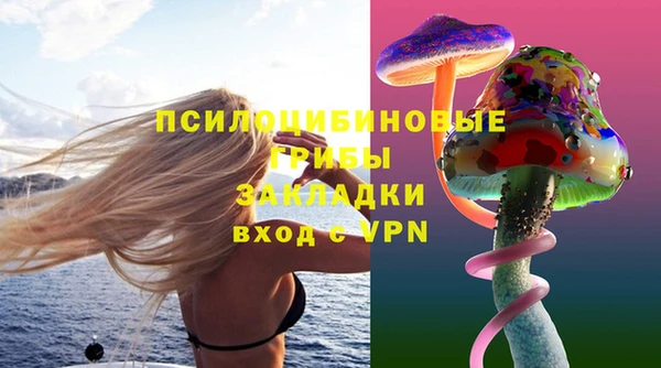 apvp Карталы