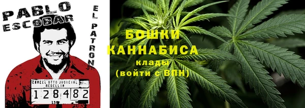 прущие крисы Белоозёрский
