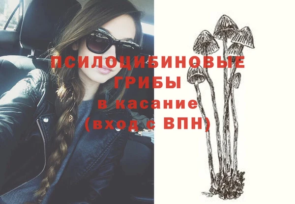 МДПВ Инта