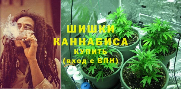 соль ск Иннополис