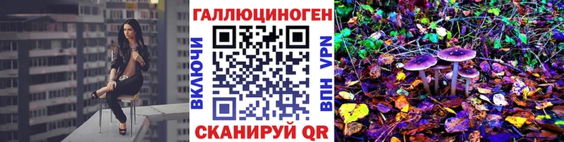 Купить закладки Апрелевка Псилоцибиновые грибы Cubensis
